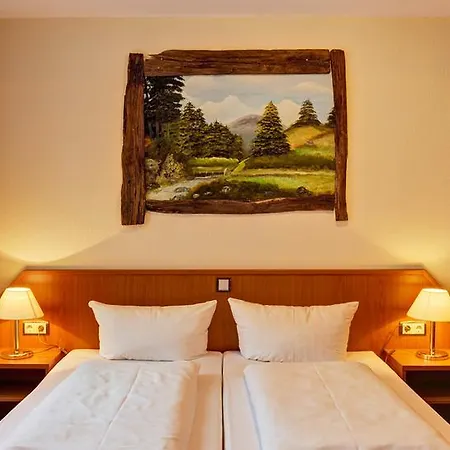 Hotel Harzlodge Goslar